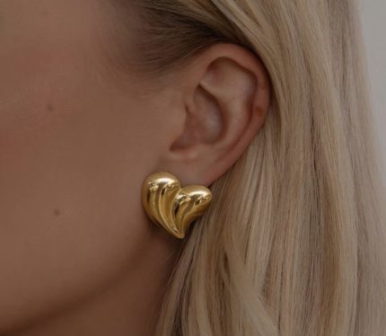 Stainless Steel Earrings